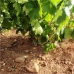 Mollina property: Mollina, Spain Land 260639