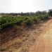 Mollina property: bedroom Land in Malaga 260639