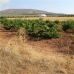Mollina property: Land in Malaga 260639