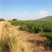 Mollina property: Mollina Land, Spain 260639
