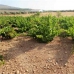 Mollina property: Malaga Land, Spain 260639