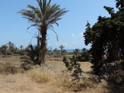 Orihuela Costa property: Apartment with 2 bedroom in Orihuela Costa, Spain 260702