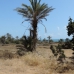 Orihuela Costa property: 2 bedroom Apartment in Alicante 260702