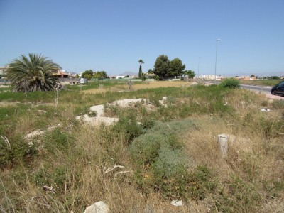 Daya Nueva property: Land for sale in Daya Nueva 260707