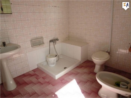 town Townhome 261167