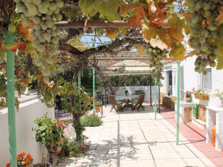 Alguena property: Villa with 3 bedroom in Alguena 261173