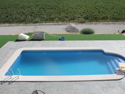 Pinoso property: Villa with 6 bedroom in Pinoso 261176