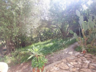 Orba&nbsp;Valley&nbsp;property:&nbsp;Alicante&nbsp;property&nbsp;|&nbsp;4&nbsp;bedroom&nbsp;Villa&nbsp;261192