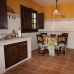 Coin property: Malaga, Spain Finca 261906