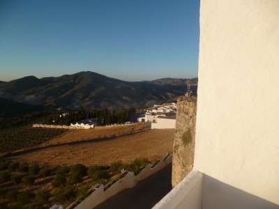 Olvera property: Olvera Townhome 262207