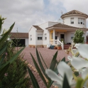 Pinoso property: Villa for sale in Pinoso 262899