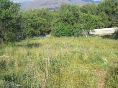 Valtocado property: Land with bedroom in Valtocado 262972