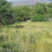 Valtocado property: bedroom Land in Valtocado, Spain 262972