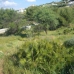 Valtocado property: Land in Malaga 262972