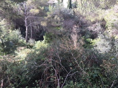 Benissa property: Villa for sale in Benissa, Spain 263024