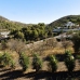 Lliber&nbsp;property:&nbsp;Beautiful&nbsp;Villa&nbsp;for&nbsp;sale&nbsp;in&nbsp;Lliber&nbsp;263409