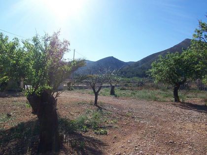 Jalon property: Villa for sale in Jalon, Alicante 263410