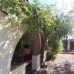 Jalon property: 3 bedroom Villa in Jalon, Spain 263410