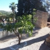 Lliber&nbsp;property:&nbsp;Villa&nbsp;in&nbsp;Lliber&nbsp;263411