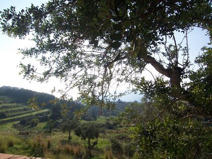 Benissa property: Villa in Alicante for sale 263415