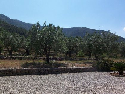 Parcent property: Villa for sale in Parcent, Spain 263417