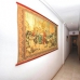 La Mata property: Apartment in La Mata 263930