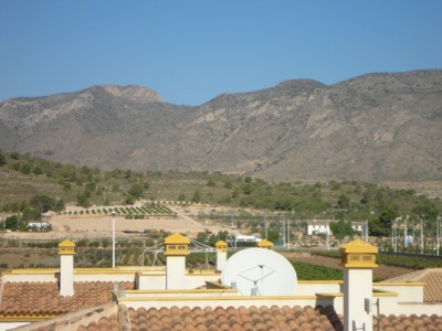Hondon de las Nieves property: Villa with 3 bedroom in Hondon de las Nieves 264115