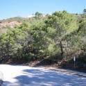 Benahavis property: Land for sale in Benahavis 264163