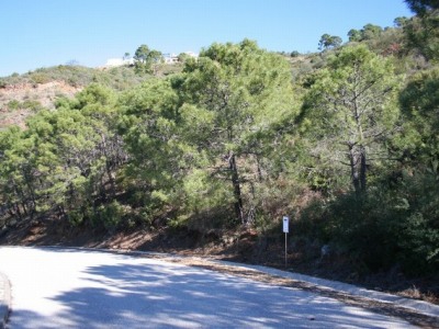 Benahavis property: Land for sale in Benahavis 264163
