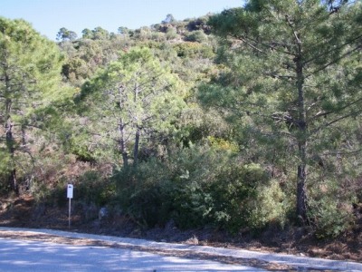 Benahavis property: Land for sale in Benahavis, Spain 264163