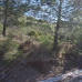 Benahavis property: bedroom Land in Benahavis, Spain 264163