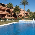 Marbella property: Apartment for sale in Marbella 264177