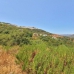 Marbella property: Marbella, Spain Land 264217