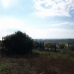 Benahavis property: bedroom Land in Benahavis, Spain 264219