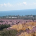 Benahavis property: bedroom Land in Benahavis, Spain 264247
