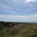 Benahavis property: Beautiful Land for sale in Malaga 264247