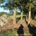 Friol property: Lugo Farmhouse, Spain 264388