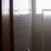 Bigastro property: Bigastro, Spain Townhome 264399