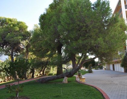 Denia property: Apartment with 2 bedroom in Denia 264421