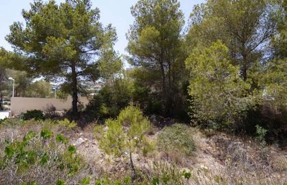 Moraira property: Villa in Alicante to rent 264428