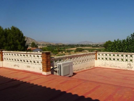 Aspe property: Aspe, Spain | Villa for sale 264545