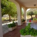 Aspe property: 4 bedroom Villa in Aspe, Spain 264545
