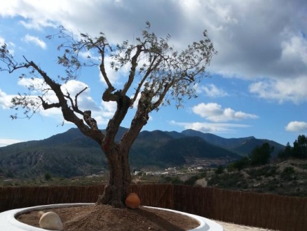 La Zarza property: Villa with 3 bedroom in La Zarza 264554