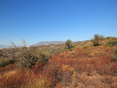 El Rosario property: Land for sale in El Rosario, Malaga 264660