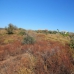 El Rosario property: bedroom Land in Malaga 264660