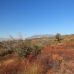 El Rosario property:  Land in Malaga 264660