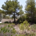 Moraira property: 3 bedroom Villa in Alicante 264700