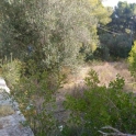 Denia property: Villa for sale in Denia 264706