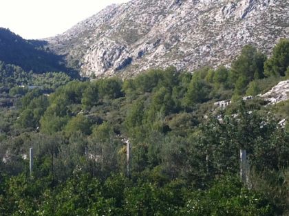 Beniarbeig&nbsp;property:&nbsp;Villa&nbsp;in&nbsp;Alicante&nbsp;for&nbsp;sale&nbsp;264707