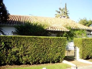 Guadalmina Alta property: Villa to rent in Guadalmina Alta 264824